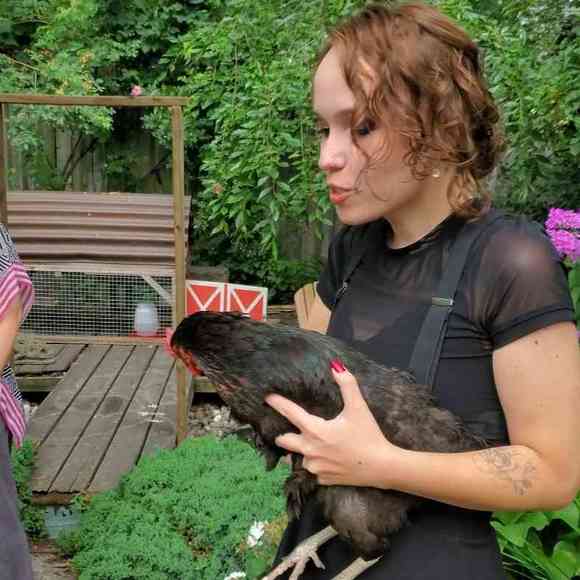 Meet your Posher, Ari - Picture 1 of 1